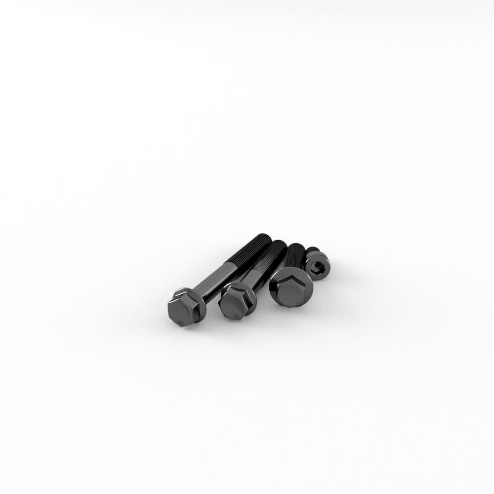 Triumph Cover Fasteners - Black - A9618190
