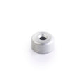 Triumph BAR END FINISHER - SATIN - A9630436