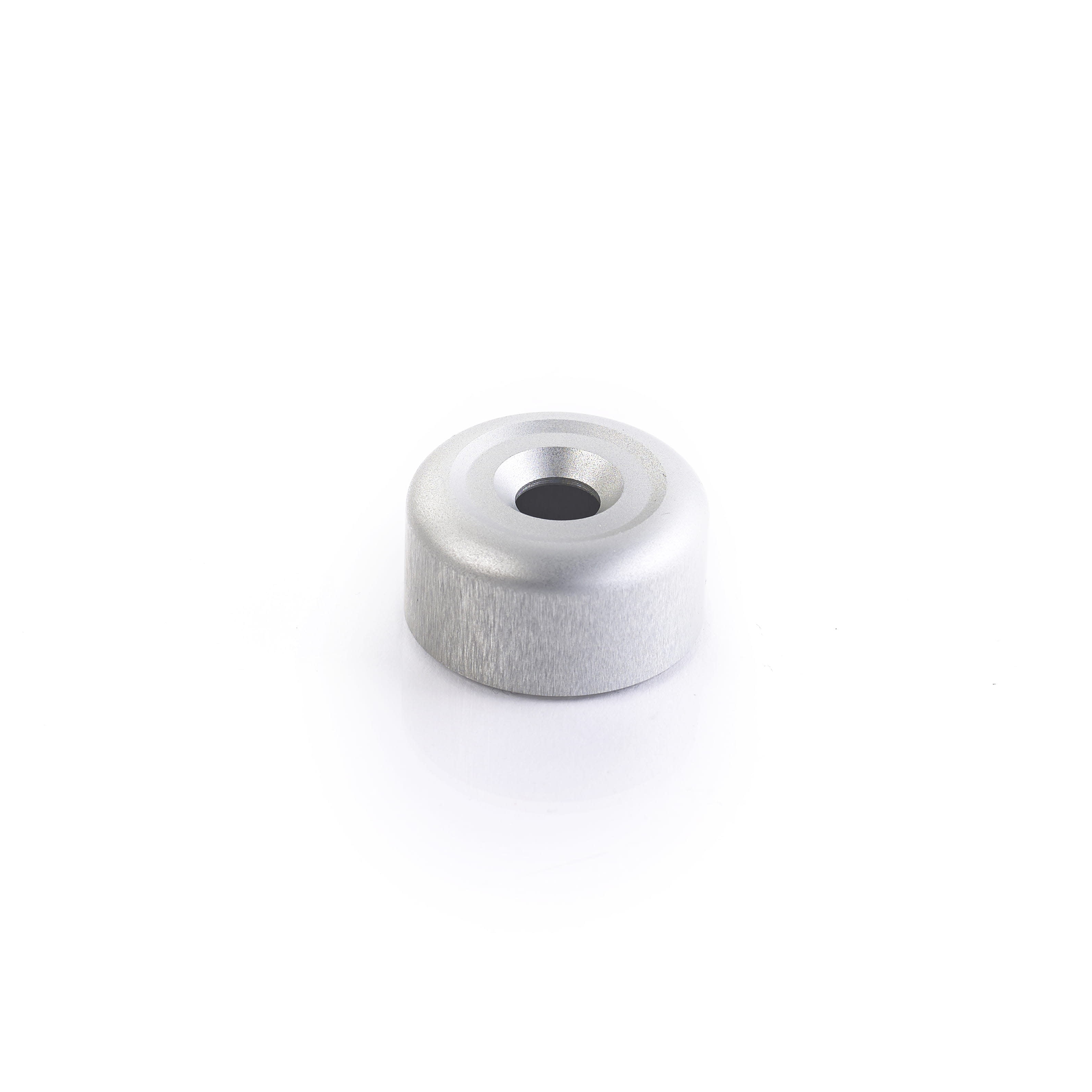 Triumph BAR END FINISHER - SATIN - A9630436